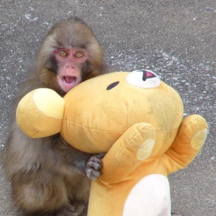 Otome-Chan Companion Plush