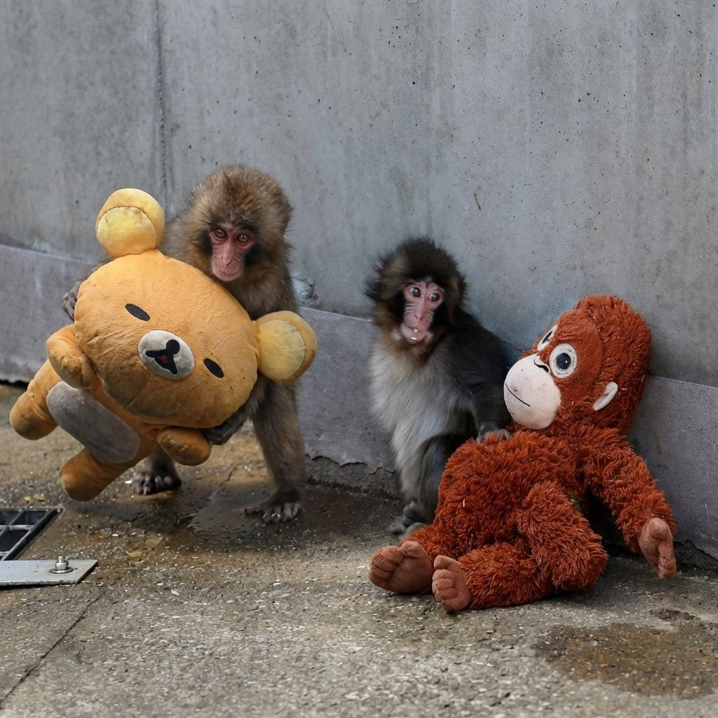 Otome-Chan Companion Plush