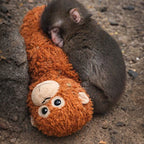 The Punch Companion Plush